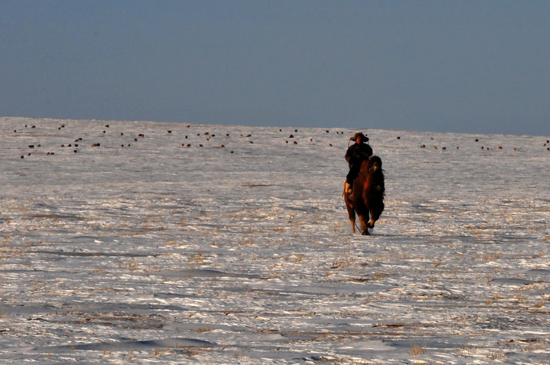 Mongolie
